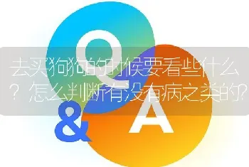 去买狗狗的时候要看些什么？怎么判断有没有病之类的？