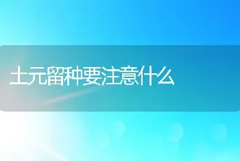 土元留种要注意什么