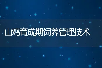 山鸡育成期饲养管理技术