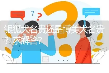 银狐犬名贵还是博美犬名贵？求解答？