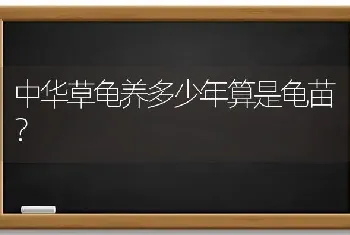 中华草龟养多少年算是龟苗？