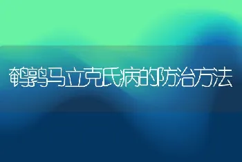 鹌鹑马立克氏病的防治方法