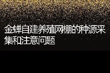 金蝉自建养殖网棚的种源采集和注意问题