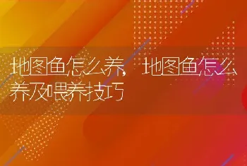 地图鱼怎么养，地图鱼怎么养及喂养技巧