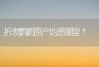 折衷鹦鹉原产地是哪里？