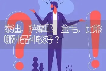 泰迪。萨摩耶。金毛。比熊哪种品种较好？