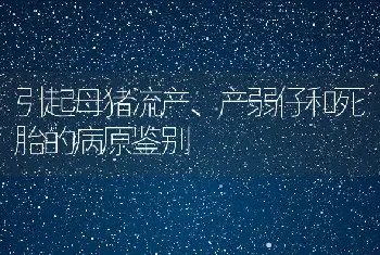 引起母猪流产、产弱仔和死胎的病原鉴别