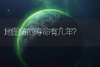 地图鱼的寿命有几年？