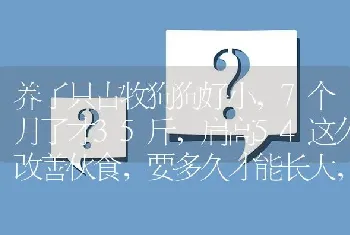 养了只古牧狗狗好小，7个月了才35斤，肩高54这久改善伙食，要多久才能长大，还能大多少，大家养古牧？