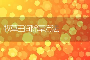 乌龟与蚯蚓混养技术