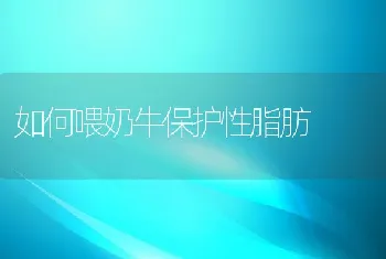 红罗非鱼生物学特性及其养殖技术