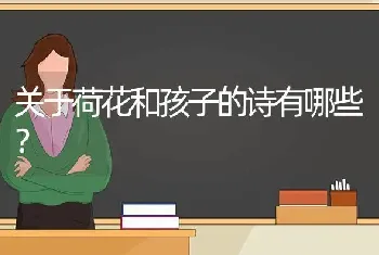 关于荷花和孩子的诗有哪些？