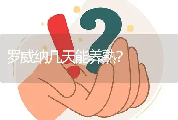 罗威纳几天能养熟？