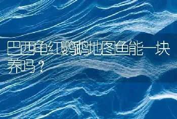 巴西龟红鹦鹉地图鱼能一块养吗？