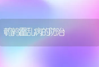 鹌鹑霍乱病的防治