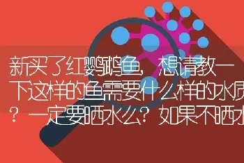 新买了红鹦鹉鱼,想请教一下这样的鱼需要什么样的水质？一定要晒水么？如果不晒水可以用什么水比较好？