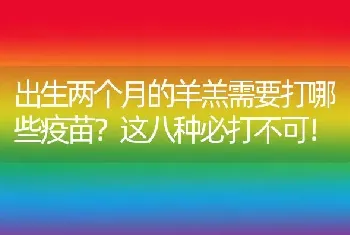 出生两个月的羊羔需要打哪些疫苗？这八种必打不可！