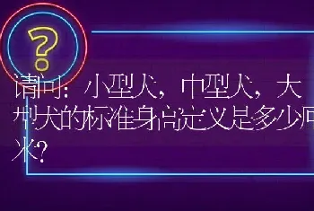 请问:小型犬,中型犬,大型犬的标准身高定义是多少厘米？