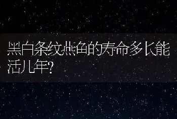 黑白条纹燕鱼的寿命多长能活几年？