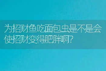 为什么我的汗鲨总爱撞缸，还偶尔咬几下，求求大虾们啦？