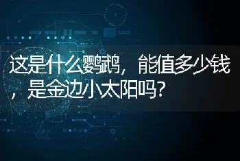 这是什么鹦鹉，能值多少钱，是金边小太阳吗？