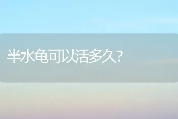 半水龟可以活多久？