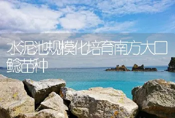 水泥池规模化培育南方大口鲶苗种