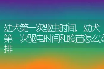 幼犬第一次驱虫时间，幼犬第一次驱虫时间和疫苗怎么安排