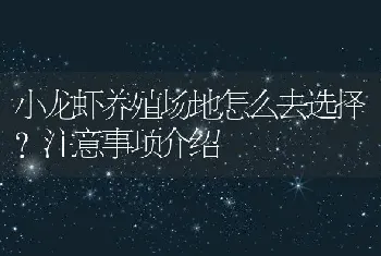 小龙虾养殖场地怎么去选择？注意事项介绍