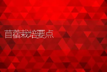 谷物淀粉加工处理及在奶牛生产中的应用