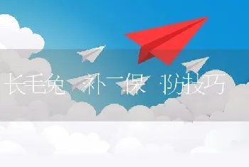 长毛兔一补二保三防技巧