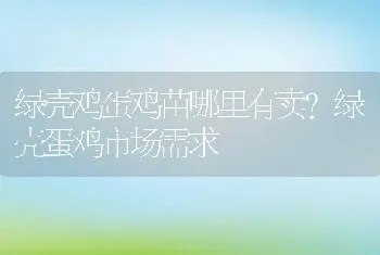 绿壳鸡蛋鸡苗哪里有卖？绿壳蛋鸡市场需求