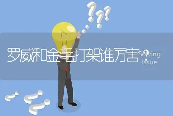 罗威和金毛打架谁厉害？