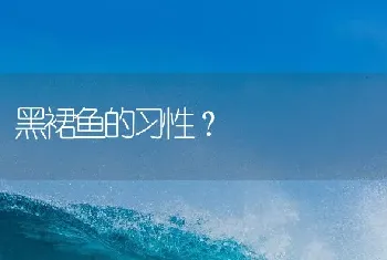 黑裙鱼的习性？