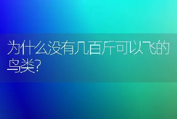 为什么没有几百斤可以飞的鸟类？