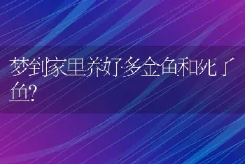 梦到家里养好多金鱼和死了鱼？