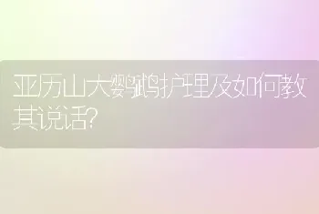 亚历山大鹦鹉护理及如何教其说话？