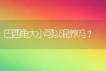 巴西龟大小可以混养吗？