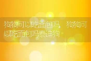 狗狗可以吃面包吗，狗狗可以吃面包吗泰迪狗