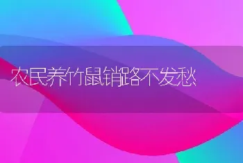 农民养竹鼠销路不发愁