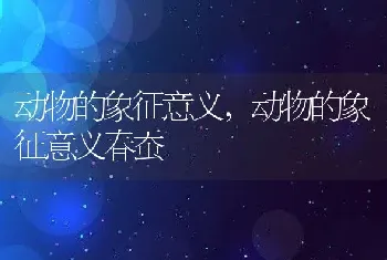 动物的象征意义，动物的象征意义春蚕