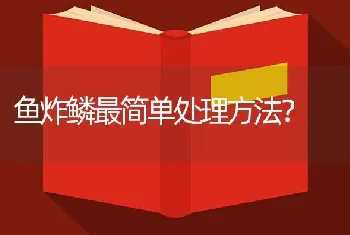 鱼炸鳞最简单处理方法？