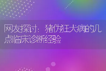 网友探讨：猪伪狂犬病的几点临床诊断经验