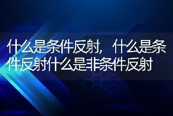 什么是条件反射，什么是条件反射什么是非条件反射