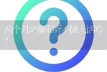 公边牧多大最好看？