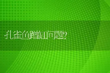 孔雀鱼蹭缸问题？