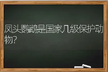 凤头鹦鹉是国家几级保护动物？