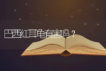 巴西红耳龟有害吗？