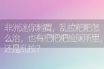 刚出生小猫怎么人工喂养？