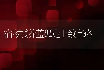 宿琴霞养蓝狐走上致富路